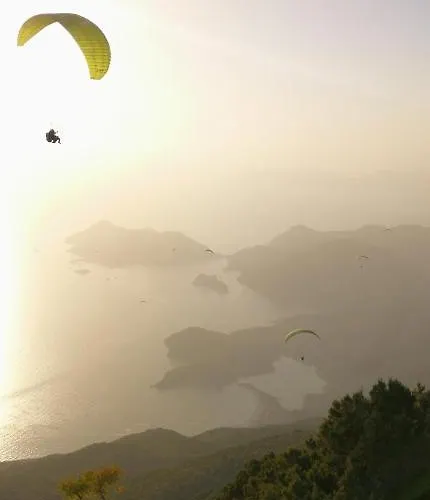 Durak Oeluedeniz Ovacık